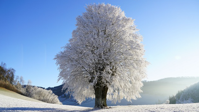 winterpause